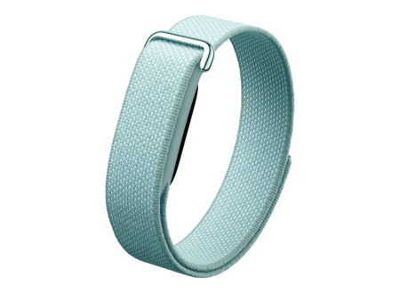 Фитнес-браслет Google Fitbit Air Туман